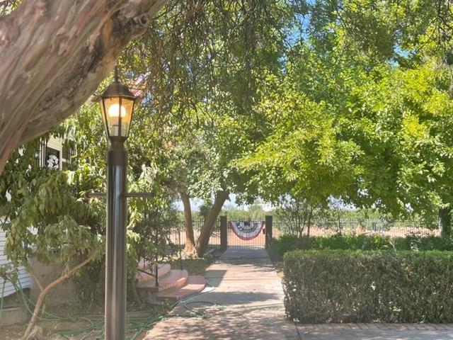 42943 Road 114 Dinuba, CA 93618 - Photo 11 of 40 a view of a tree in the yard