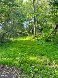 1482 Hilltop Road Leesport, PA 19533 - Photo 41 of 41 Vehicular Access to Barn
