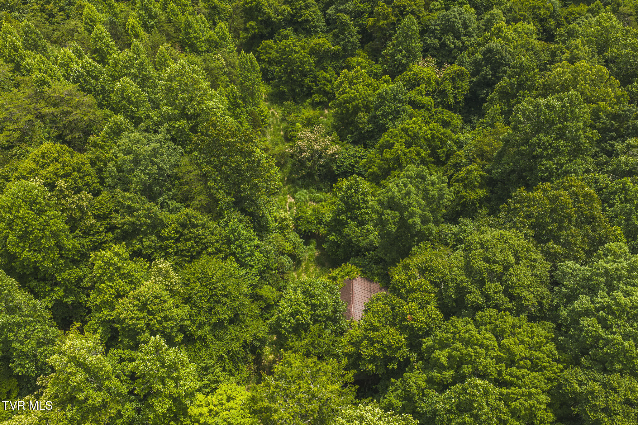 150-ac Big Springs Road Eidson, TN 37731 - Photo 23 of 24 DJI_20260616131156_0249_D