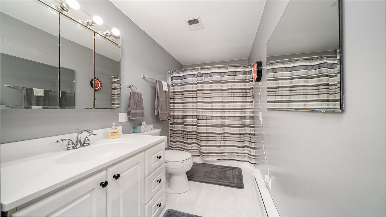 1989 Grand Detour Road Dixon, IL 61021 - Photo 12 of 39 a bathroom with a sink and a mirror