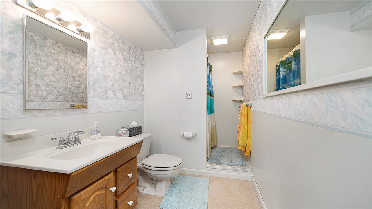 1989 Grand Detour Road Dixon, IL 61021 - Photo 20 of 39 a bathroom with a sink a toilet and shower