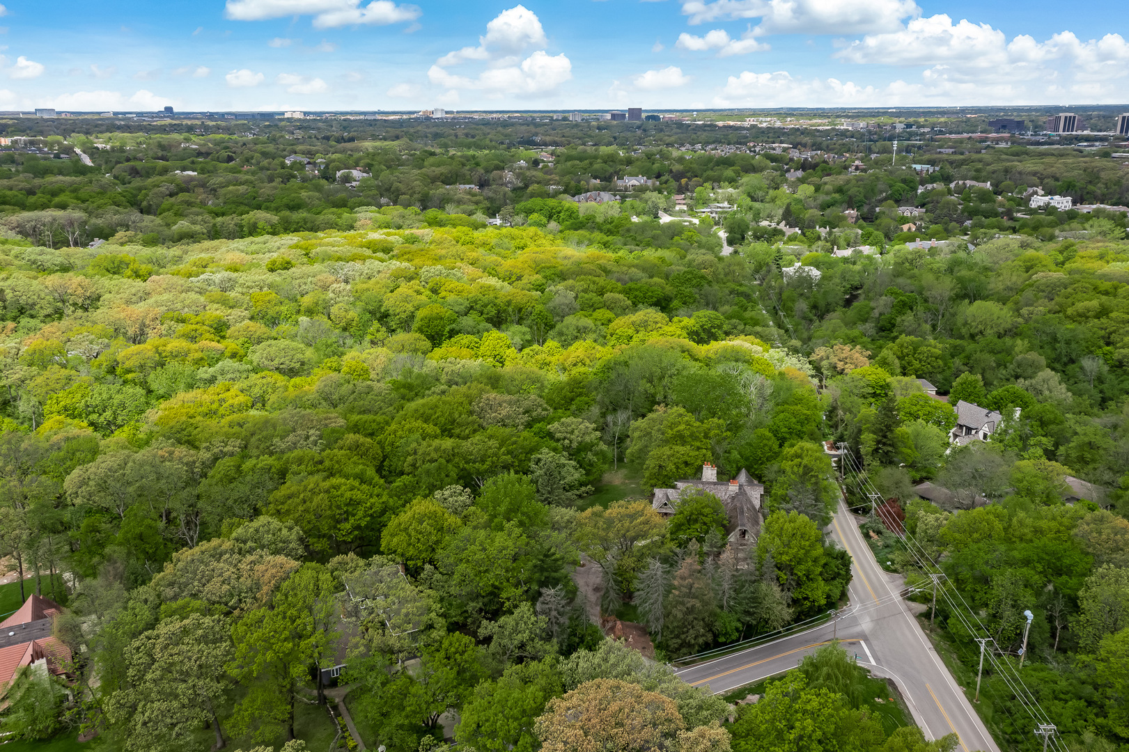 3500 Spring Road Oak Brook, IL 60523 - Photo 34 of 44 an aerial view of residential houses with outdoor space and trees