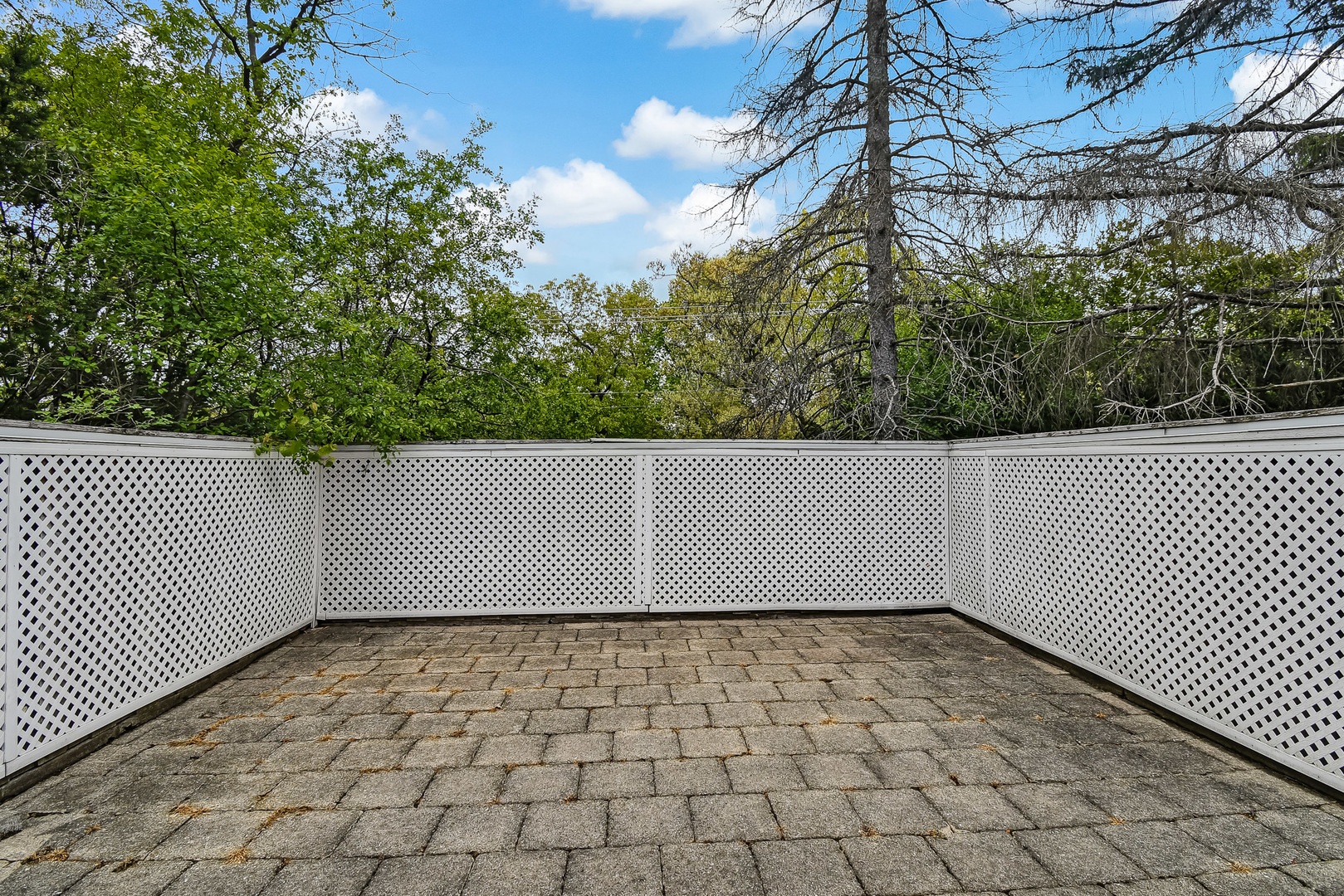 3500 Spring Road Oak Brook, IL 60523 - Photo 8 of 44 a view of a yard