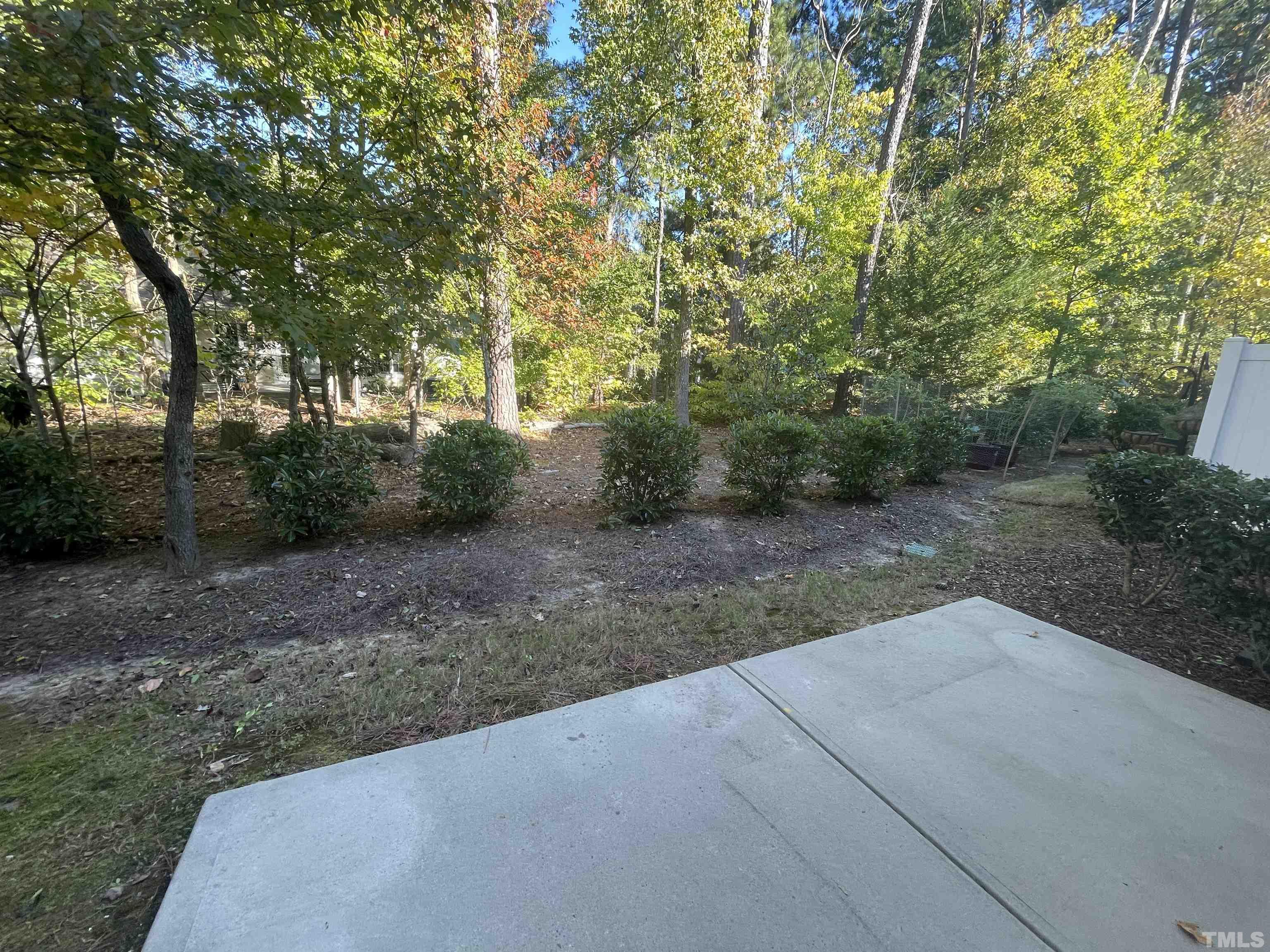 3928 Valley Side Court Cary, NC 27519 - Photo 26 of 26 a view of a yard with plants and trees