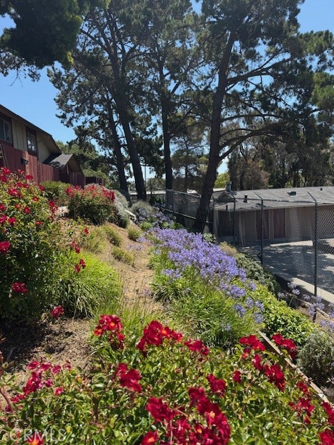 444 Corcoran Avenue, Unit 4 Vallejo, CA 94589 - Photo 27 of 32