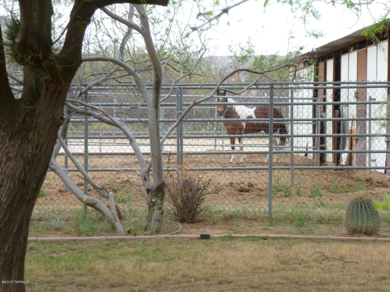 1950 West Sunkist Road Tucson, AZ 85755 - Photo 9 of 34 Gallery Image 9