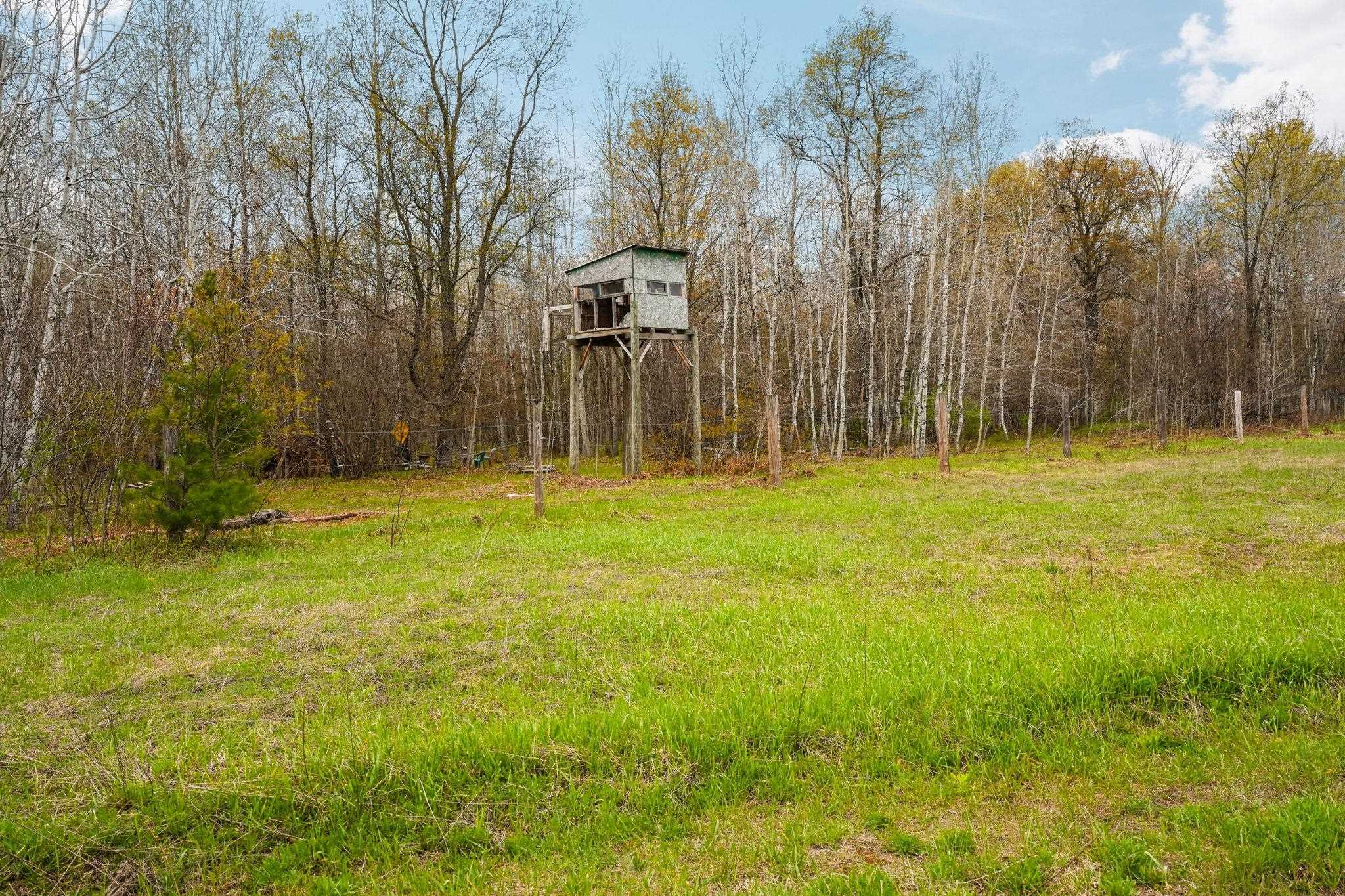 3976 Irvin Road Kingsley, MI 49649 - Photo 9 of 68