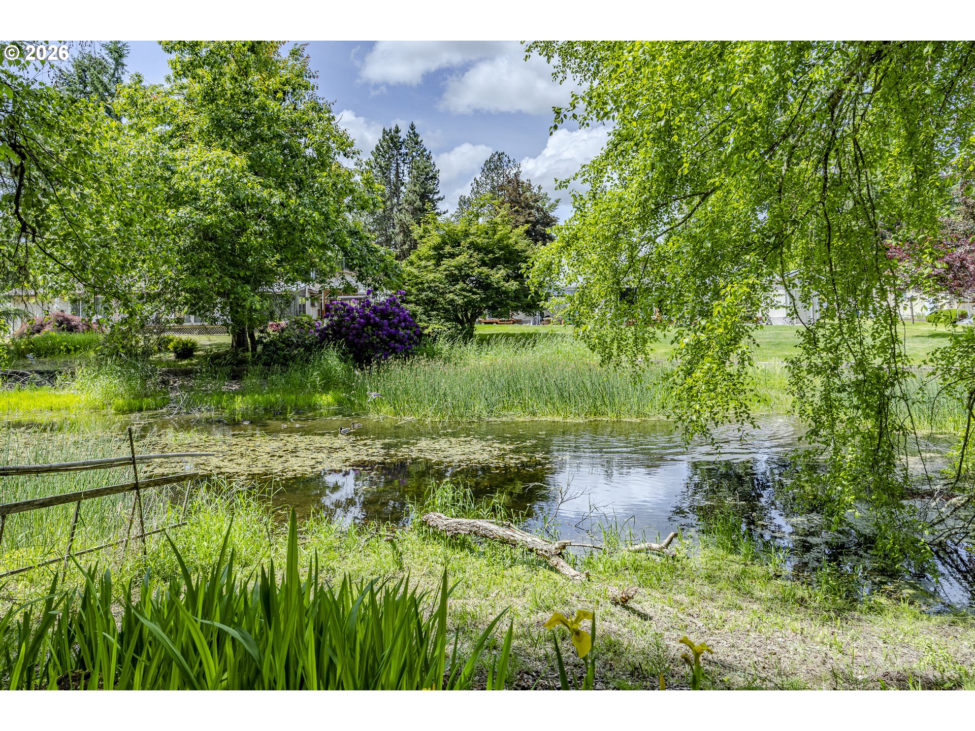 40211 Deerhorn Road Springfield, OR 97478 - Photo 37 of 48