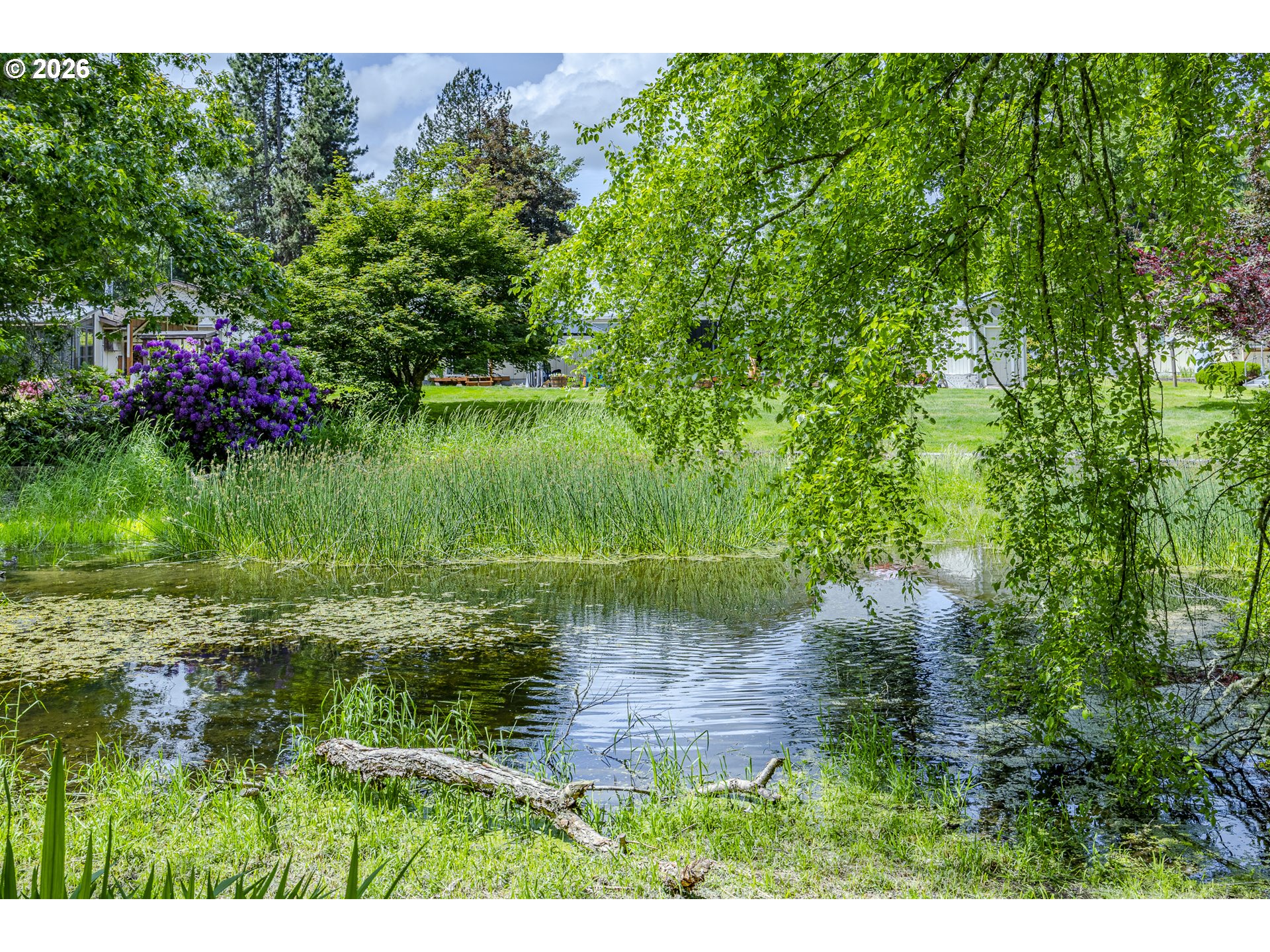 40211 Deerhorn Road Springfield, OR 97478 - Photo 38 of 48