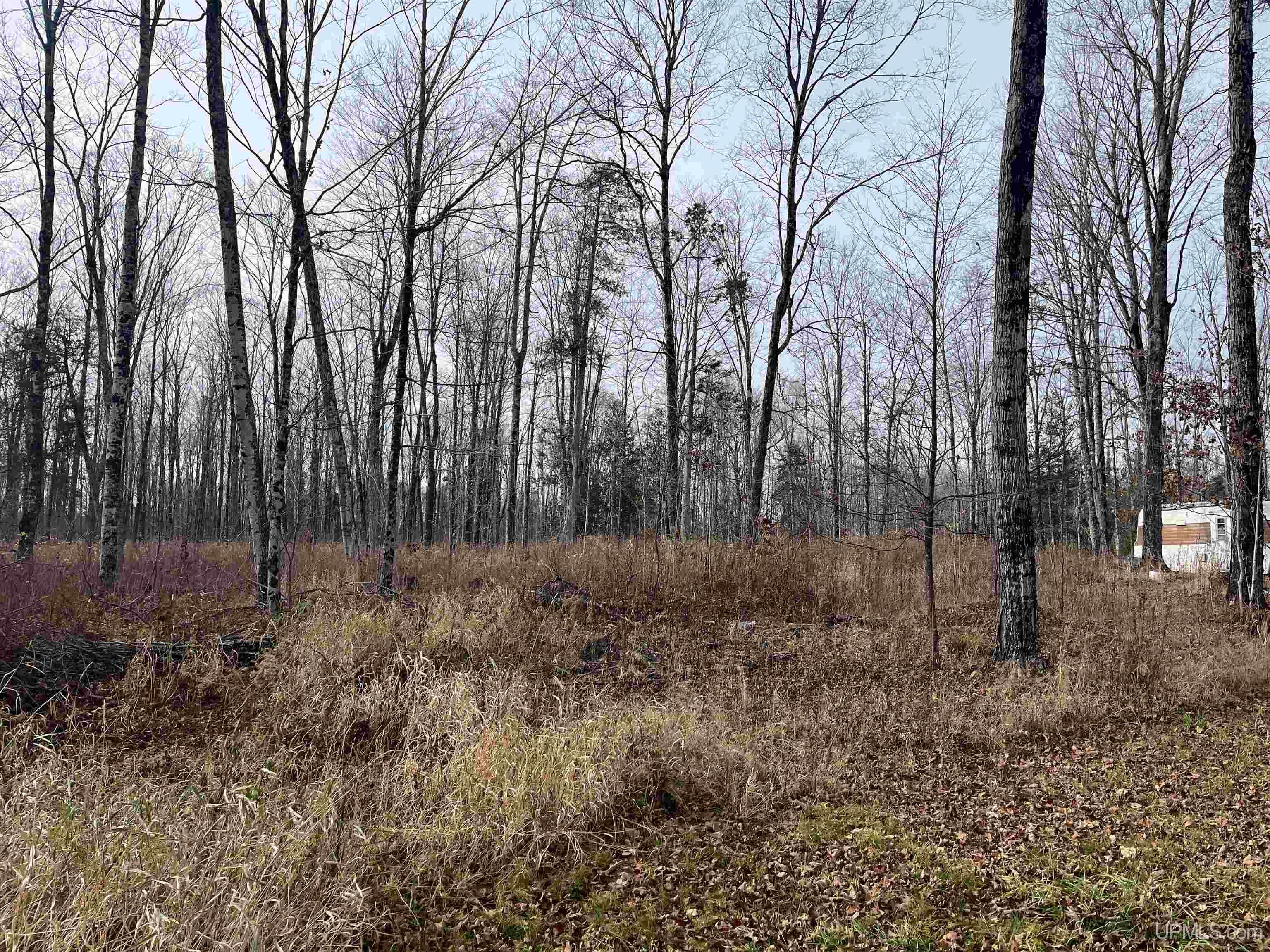 120-acres Off County Sk Road Cornell, MI 49818 - Photo 37 of 40