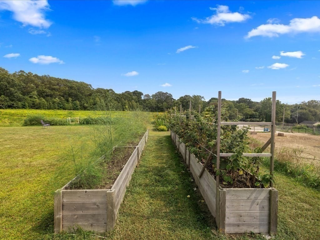 6 Wood Street Upton, MA 01568 - Photo 30 of 40 a view of a lake with a yard