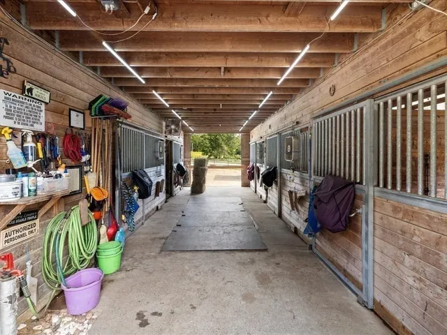 a view of path along with lots of stuff