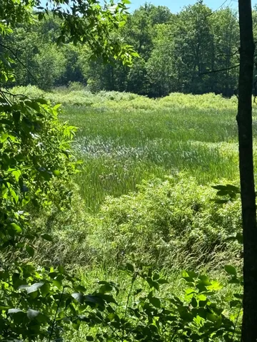 $47,500 | Lot 7-8 Baffie Bend, Garrison, MN 56450