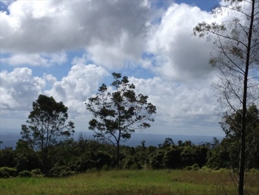 56 Kaiwiki Road Hilo, HI 96720 - Photo 2 of 10 a view of a trees in a yard