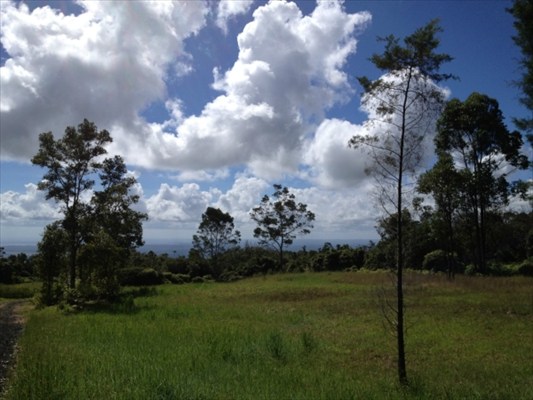 56 Kaiwiki Road Hilo, HI 96720 - Photo 3 of 10 a view of a big yard