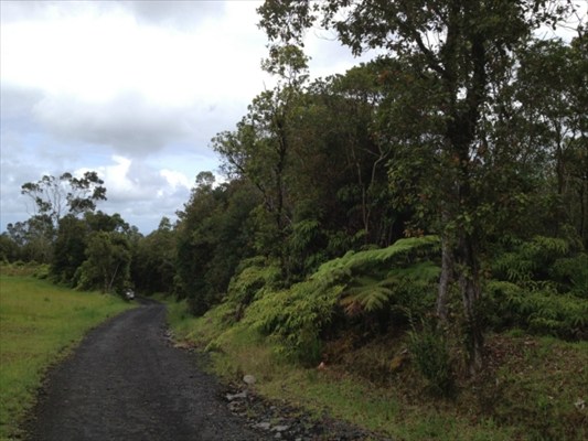56 Kaiwiki Road Hilo, HI 96720 - Photo 7 of 10 a view of a city with lush green forest