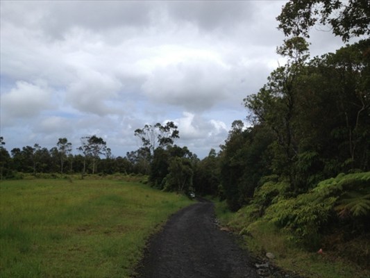 56 Kaiwiki Road Hilo, HI 96720 - Photo 9 of 10 a view of a big yard with a house in background