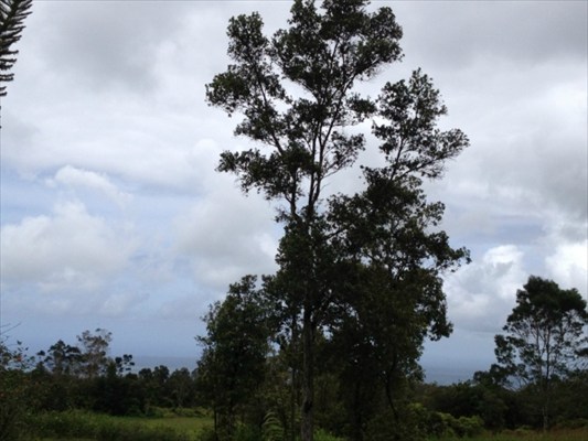 56 Kaiwiki Road Hilo, HI 96720 - Photo 10 of 10