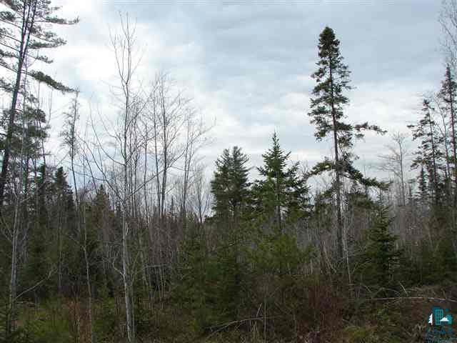 Xxx Jackson Road Solon Springs, WI 54873 - Photo 3 of 4