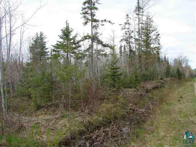 Xxx Jackson Road Solon Springs, WI 54873 - Photo 4 of 4