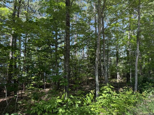 Lot 5-10 Charlotte Road Charlotte, ME 04666 - Photo 19 of 24 IMG_1705 (1)