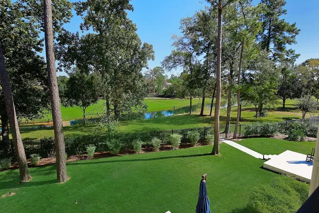 a view of a park with large trees
