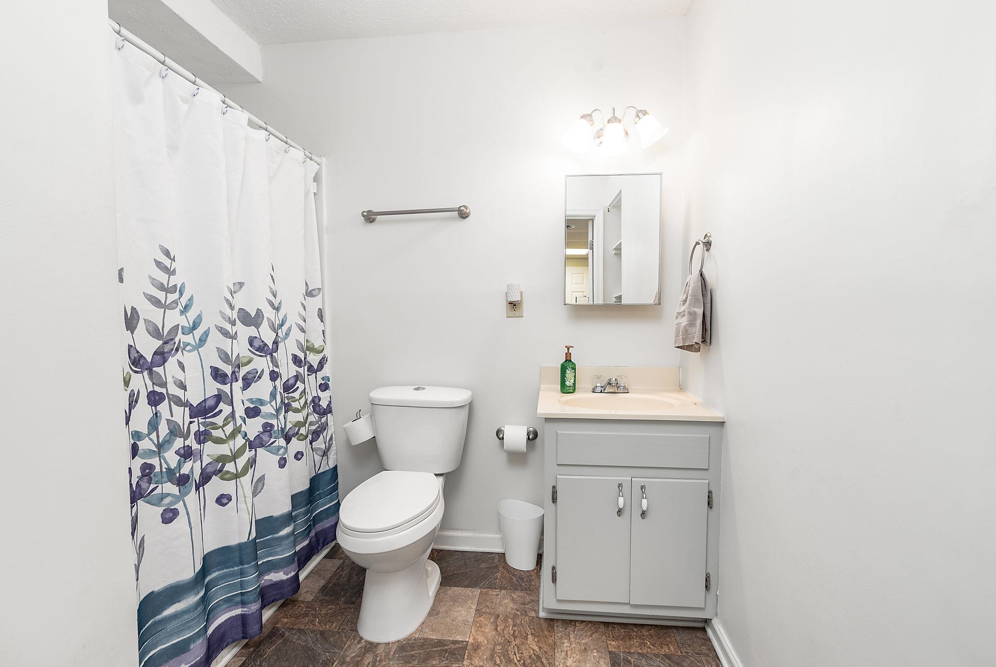 99 Harvest Road Waynesboro, VA 22980 - Photo 23 of 36 a bathroom with a toilet a sink and a mirror