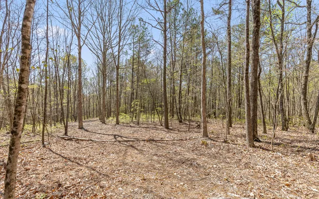 $315,000 | Lot 2095 Retirement Road, Guild, TN 37340