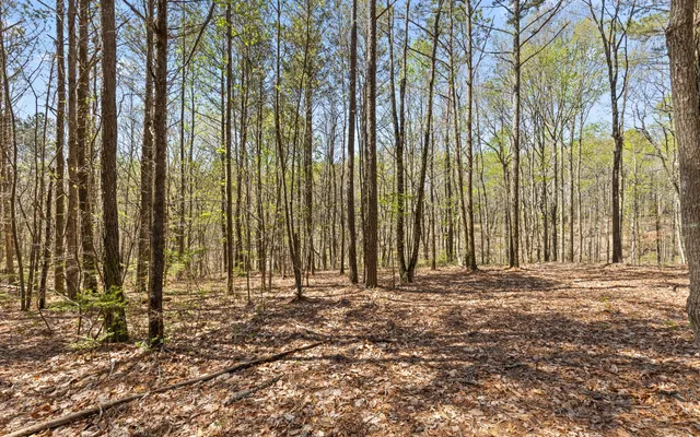 $315,000 | Lot 2095 Retirement Road, Guild, TN 37340
