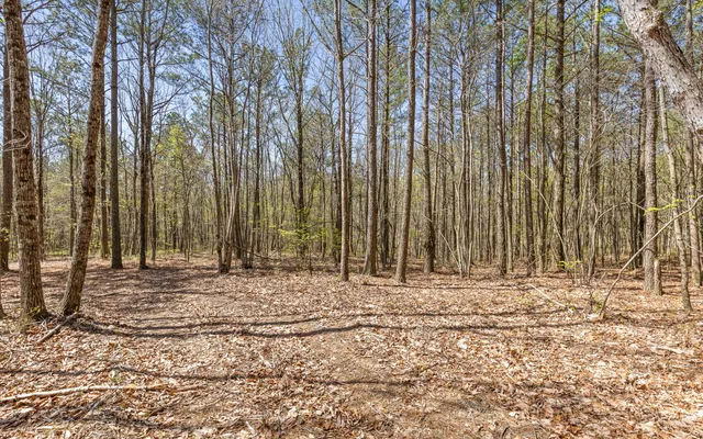 $315,000 | Lot 2095 Retirement Road, Guild, TN 37340