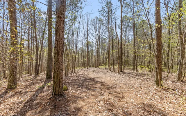$315,000 | Lot 2095 Retirement Road, Guild, TN 37340