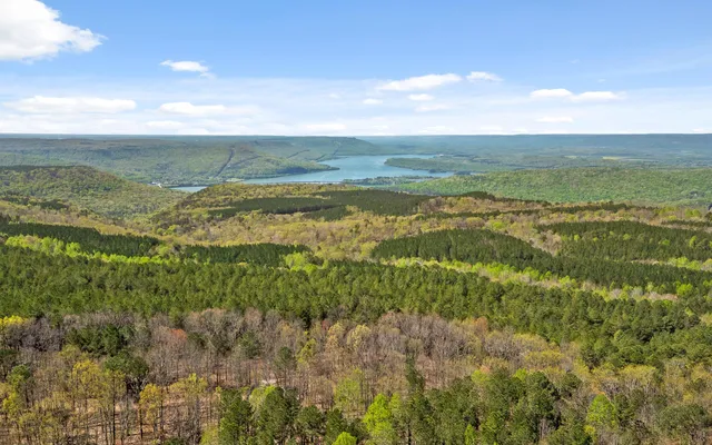 $315,000 | Lot 2095 Retirement Road, Guild, TN 37340