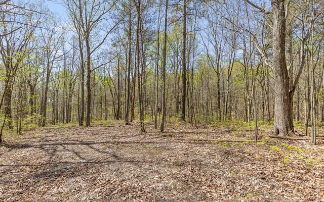 $315,000 | Lot 2095 Retirement Road, Guild, TN 37340