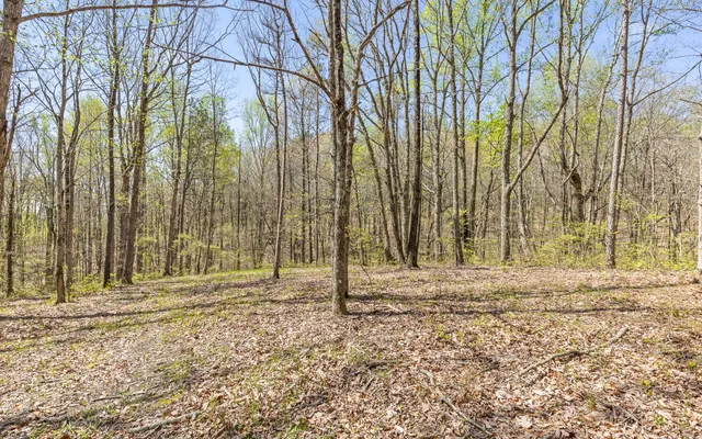 $315,000 | Lot 2095 Retirement Road, Guild, TN 37340