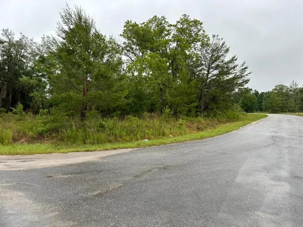 $28,000 | 1 Malauka Radial Drive, Ocklawaha, FL 32179