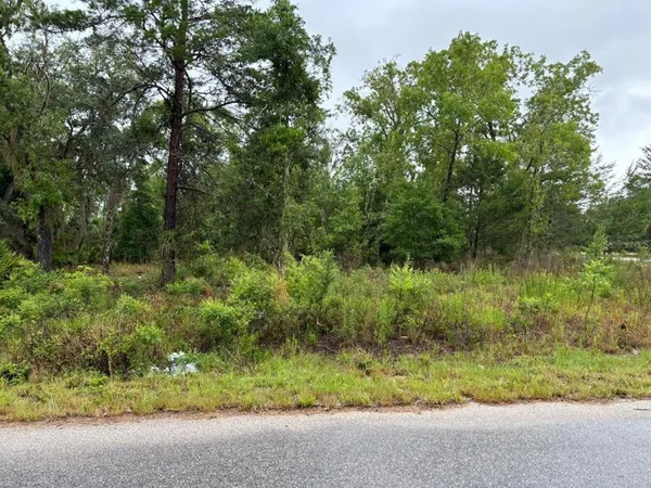 $28,000 | 1 Malauka Radial Drive, Ocklawaha, FL 32179