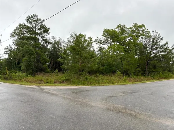 $28,000 | 1 Malauka Radial Drive, Ocklawaha, FL 32179