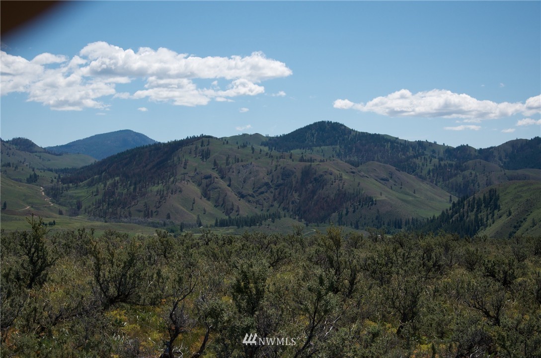50 Stud Horse Ridge Road Winthrop, WA 98862 - Photo 2 of 8 Gallery Image 2