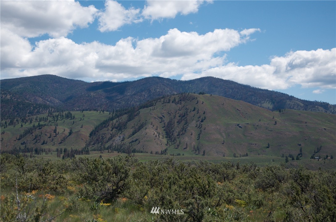 50 Stud Horse Ridge Road Winthrop, WA 98862 - Photo 3 of 8 Gallery Image 3