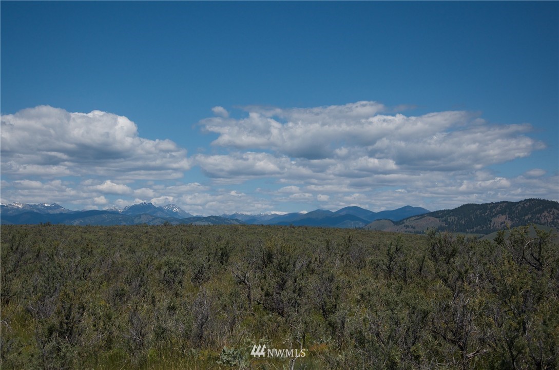50 Stud Horse Ridge Road Winthrop, WA 98862 - Photo 4 of 8 Gallery Image 4