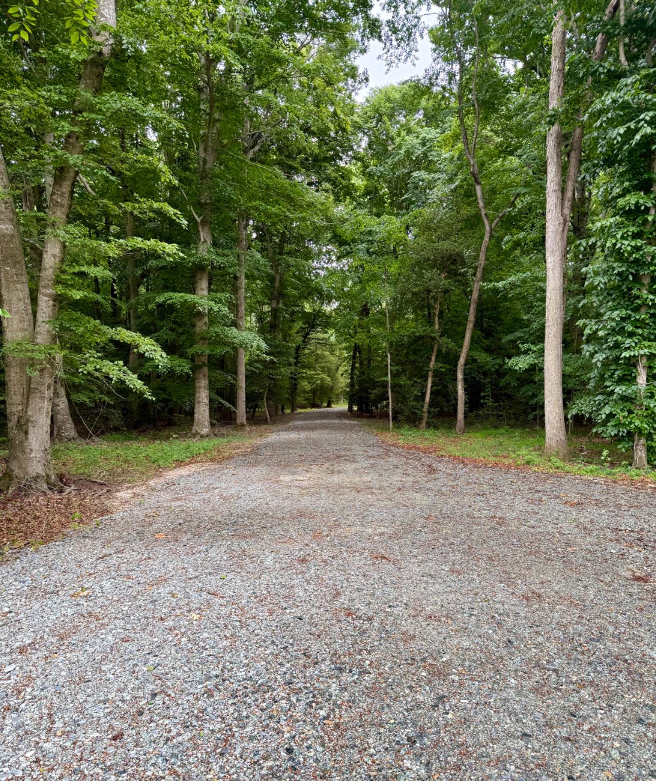 0 Utica Road, Unit PARCEL 3 Greenwood, DE 19950 - Photo 2 of 8 View from Utica Rd gate of Private Driveway