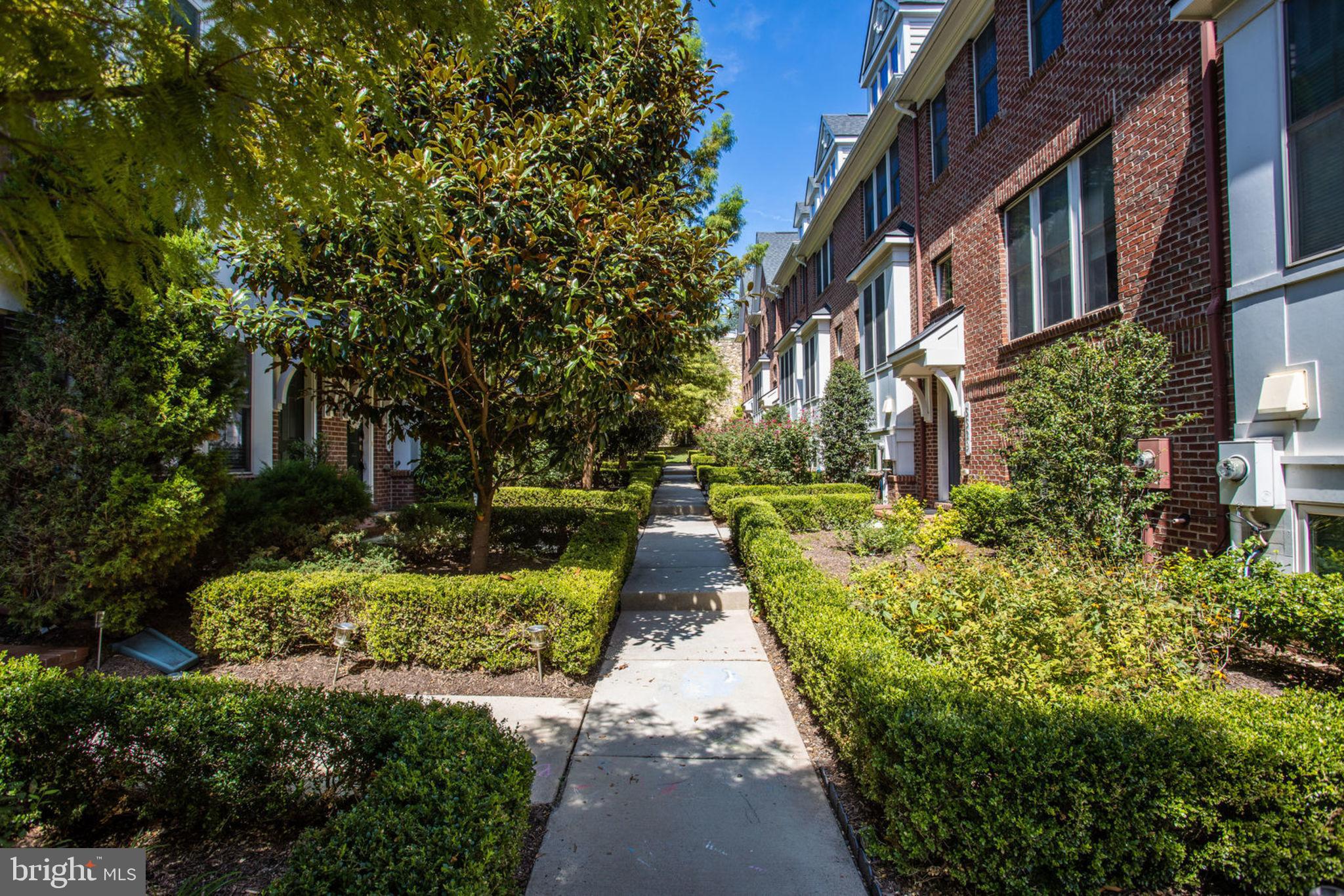 3325 Kemper Road Arlington, VA 22206 - Photo 2 of 43