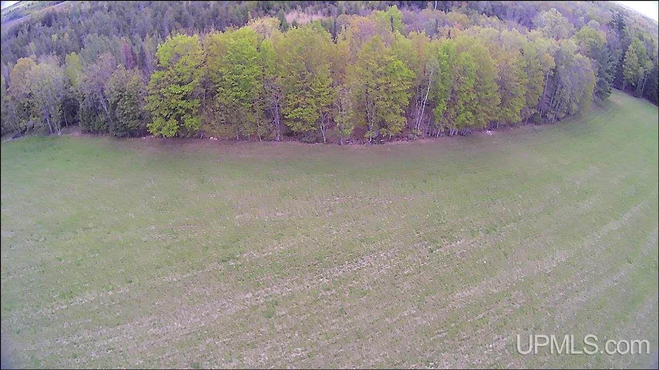 N19598 Swede Road Perronville, MI 49873 - Photo 3 of 59