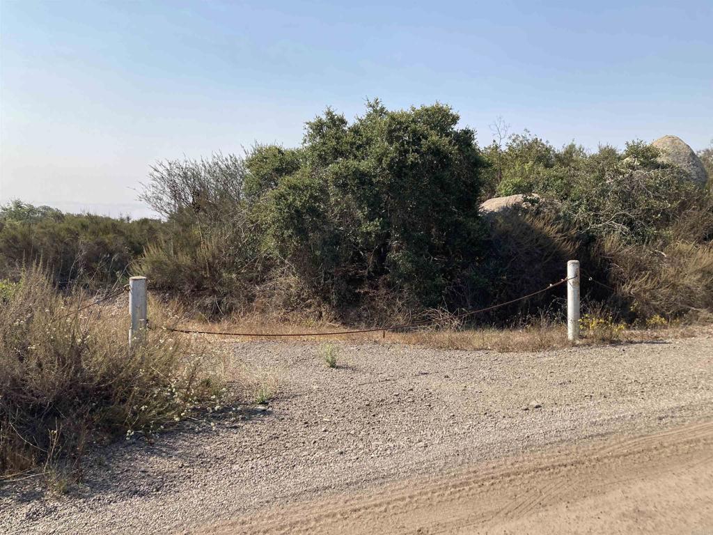 0 Donnil Lane Fallbrook, CA 92028 - Photo 11 of 35 a view of a yard with a tree