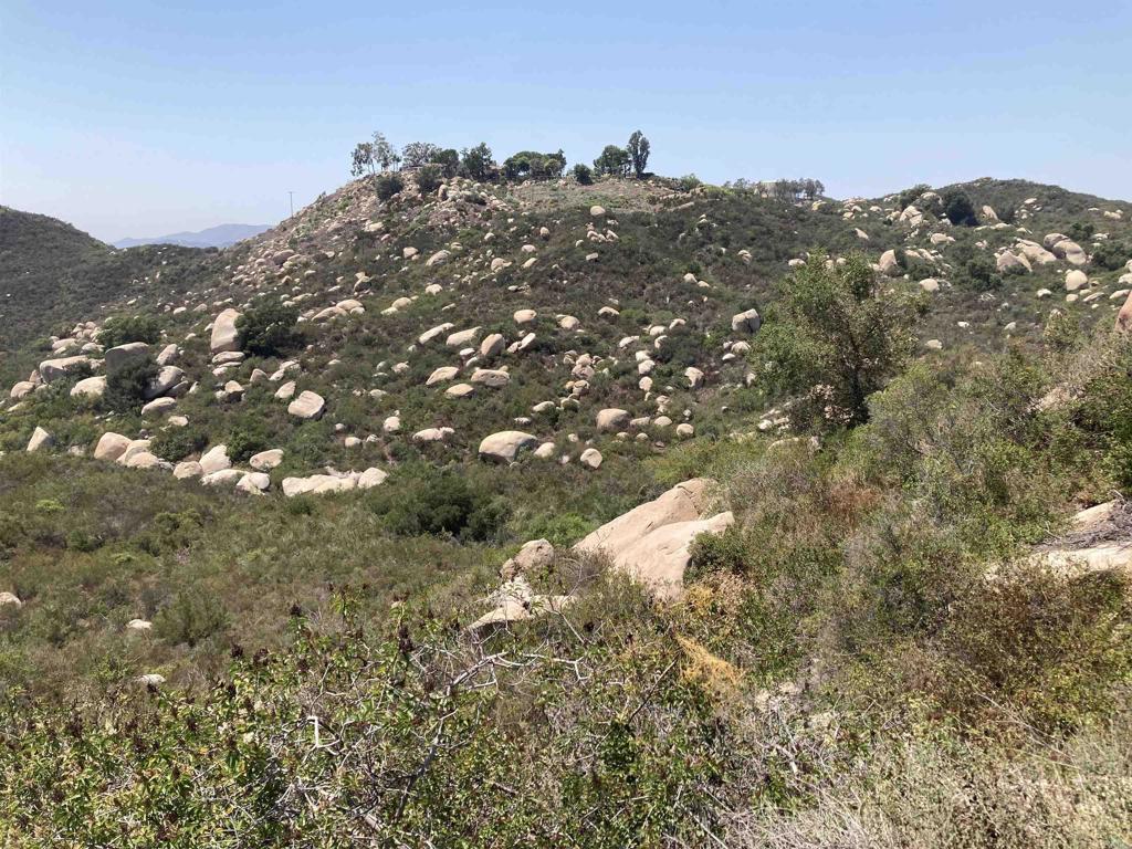 0 Donnil Lane Fallbrook, CA 92028 - Photo 24 of 35 a view of a large tree