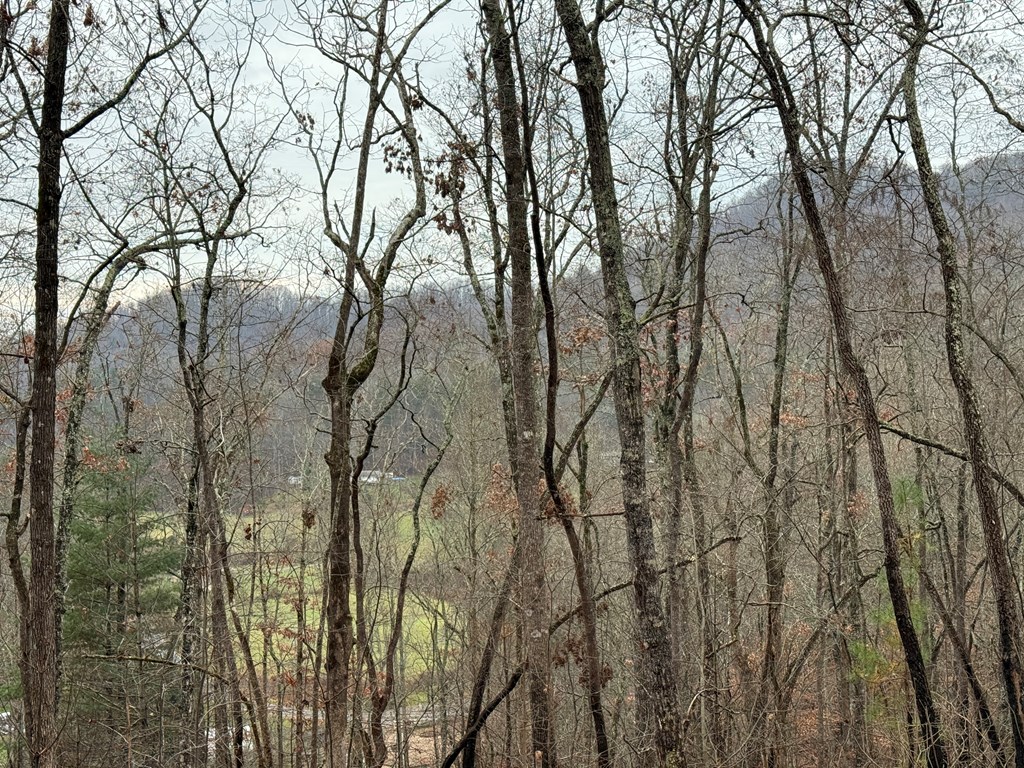 0 Flaming Ridge Hayesville, NC 28904 - Photo 4 of 7