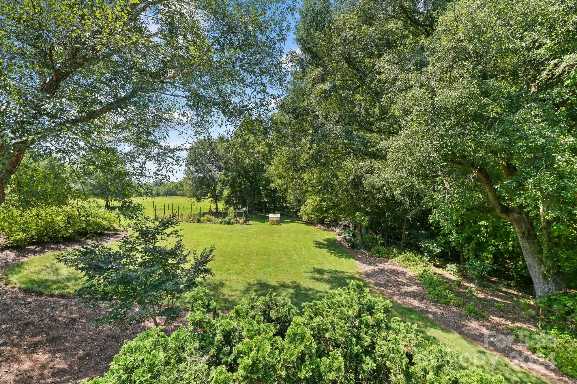 1135 Arabian Farm Road Clover, SC 29710 - Photo 28 of 48 a view of yard with green space
