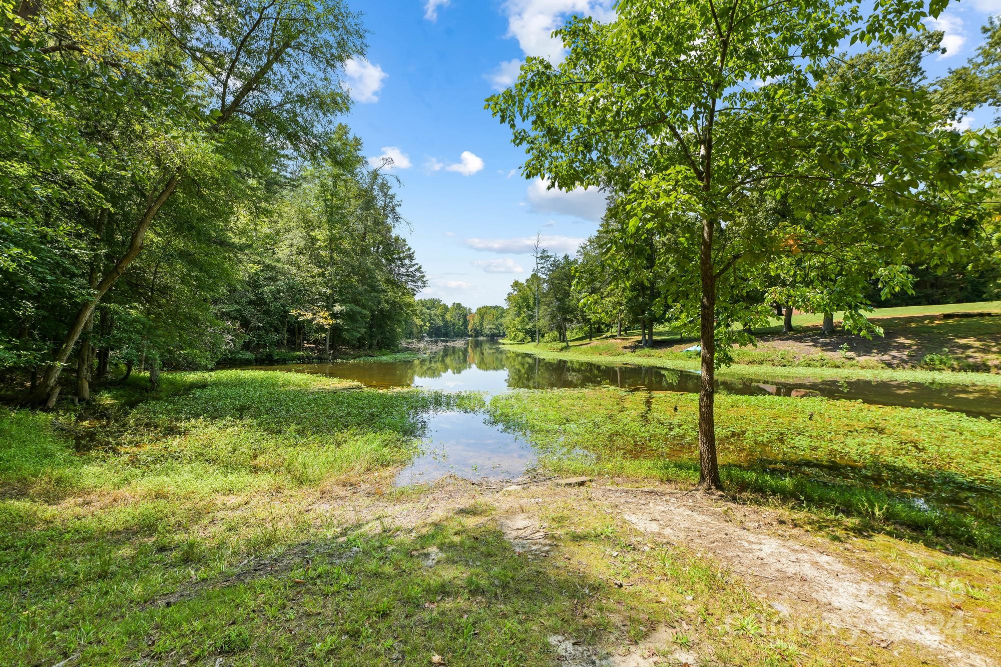 1135 Arabian Farm Road Clover, SC 29710 - Photo 33 of 48 a view of a park with large trees