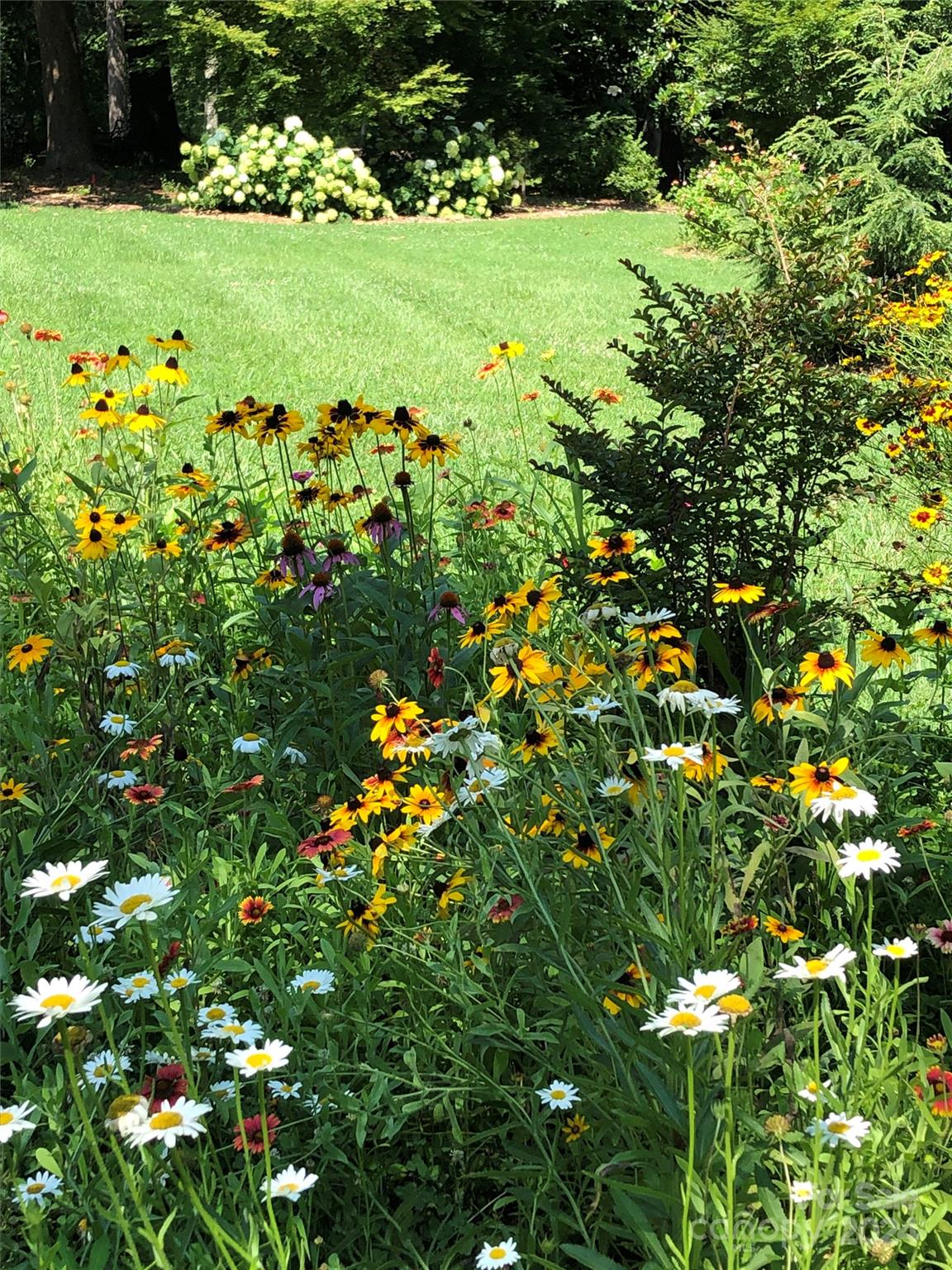 1135 Arabian Farm Road Clover, SC 29710 - Photo 37 of 48 a view of a garden with flowers