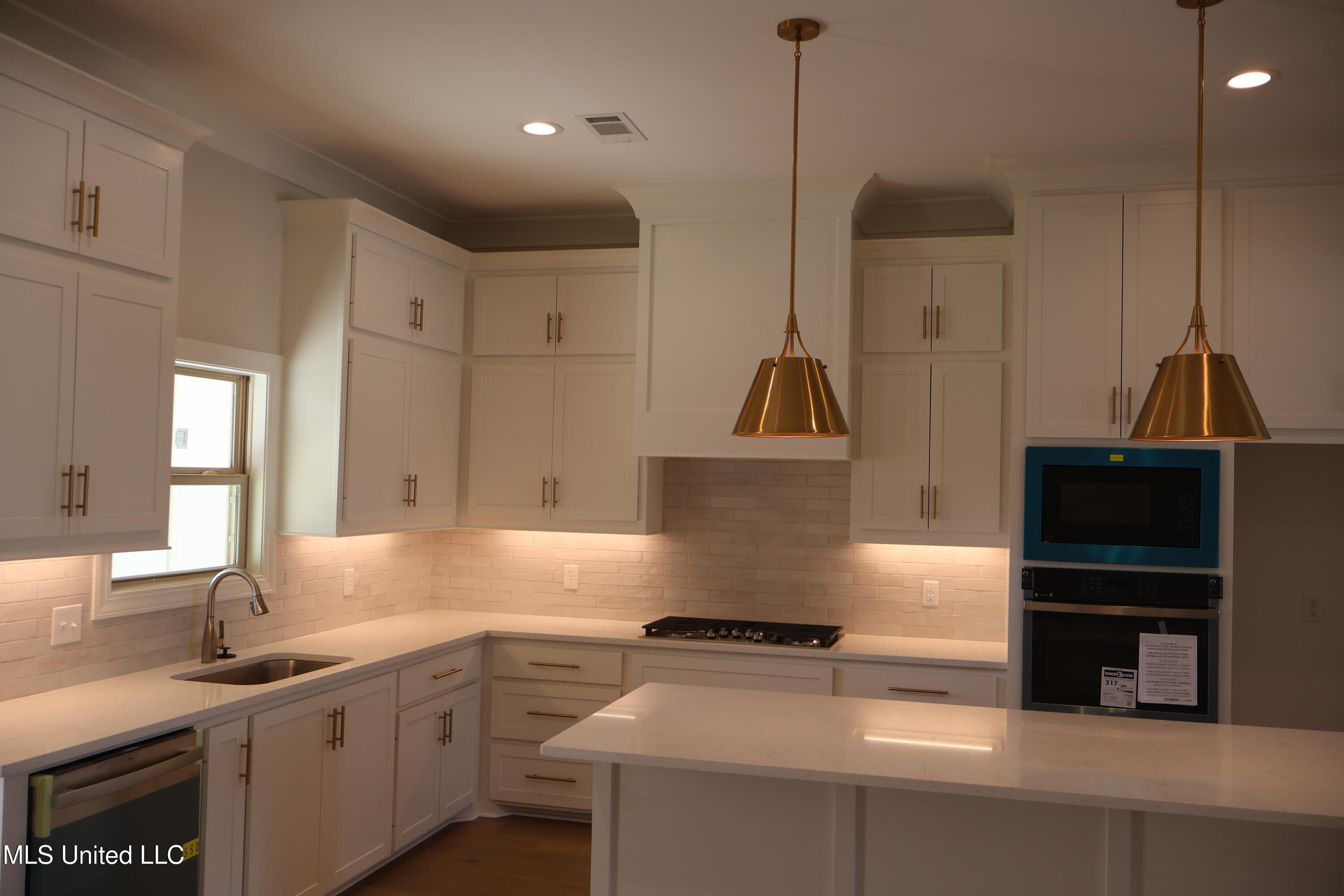 113 Southern Oak Way Canton, MS 39046 - Photo 4 of 12 113 kitchen: